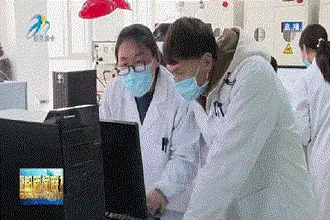 探寻企业高质量发展的“密码